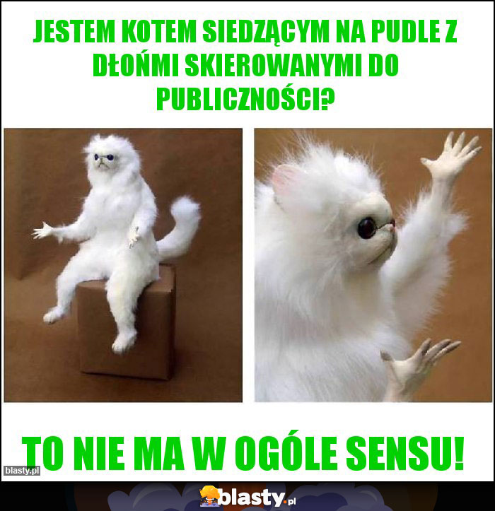 Jestem kotem siedzącym na pudle z dłońmi skierowanymi do publiczności?