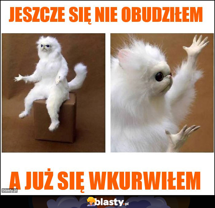 Jeszcze się nie obudziłem