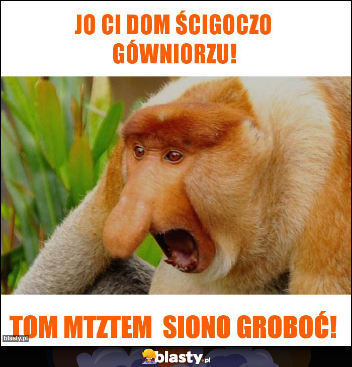 Jo ci dom ścigoczo gówniorzu!