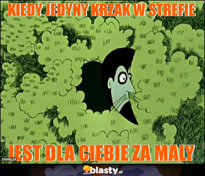 KIEDy jedyny krzak w strefie