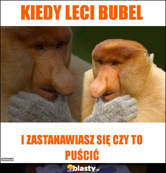 Kiedy leci bubel