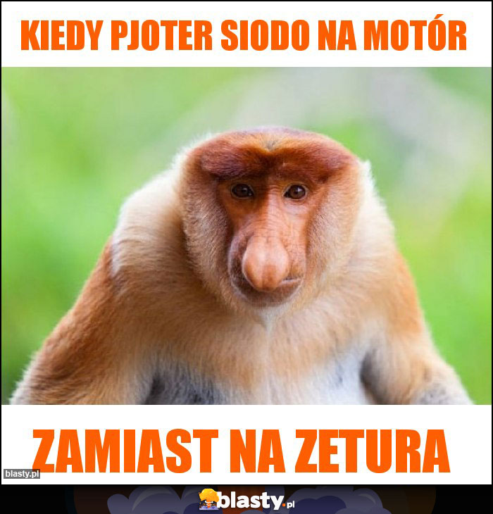 Kiedy pjoter siodo na motór