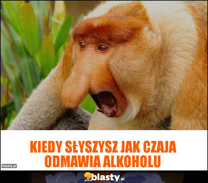 Kiedy słyszysz jak Czaja odmawia alkoholu