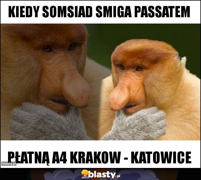 KIEDY SOMSIAD SMIGA PASSATEM