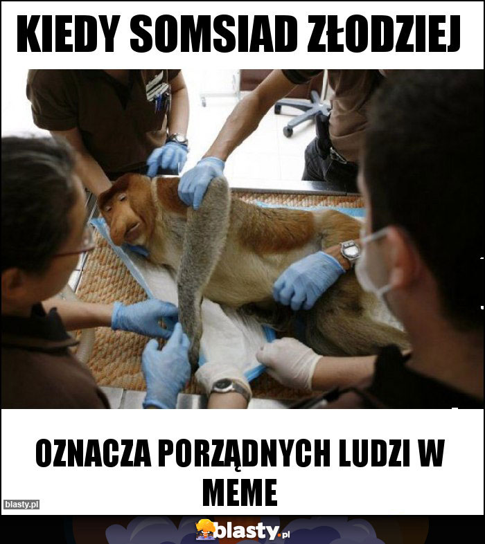 Kiedy somsiad złodziej