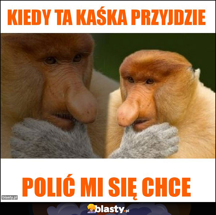 Kiedy ta Kaśka przyjdzie