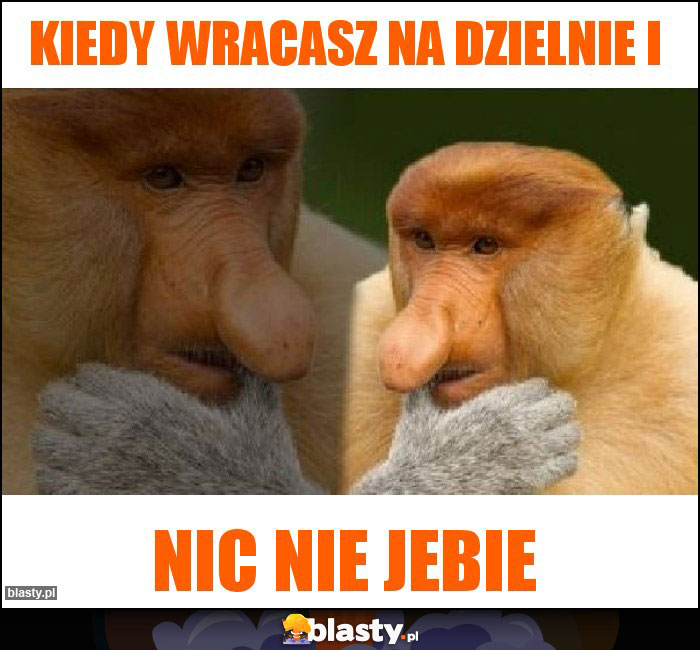 Kiedy wracasz na dzielnie i