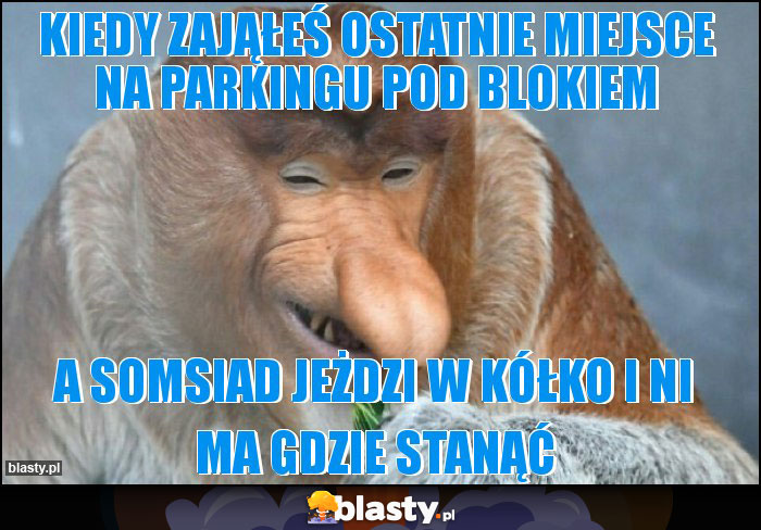 Kiedy Zająłeś ostatnie miejsce na parkingu pod Blokiem