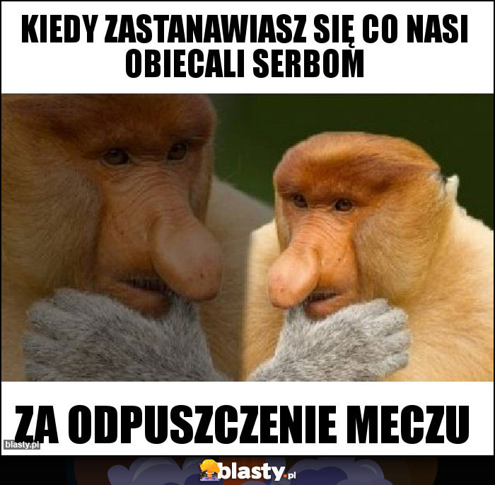 Kiedy zastanawiasz się co nasi obiecali Serbom