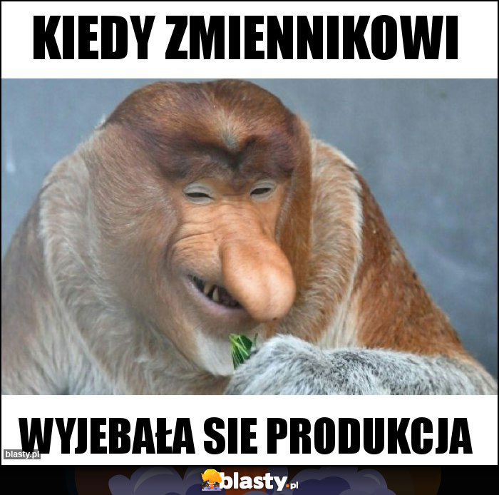 Kiedy zmiennikowi