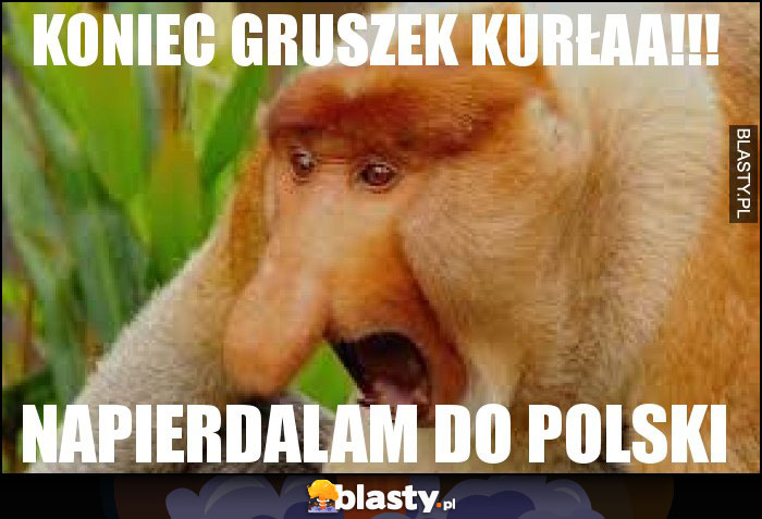 KONIEC GRUSZEK KURŁAA!!!