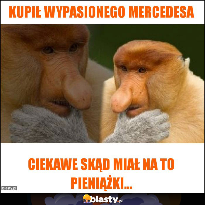 Kupił wypasionego mercedesa