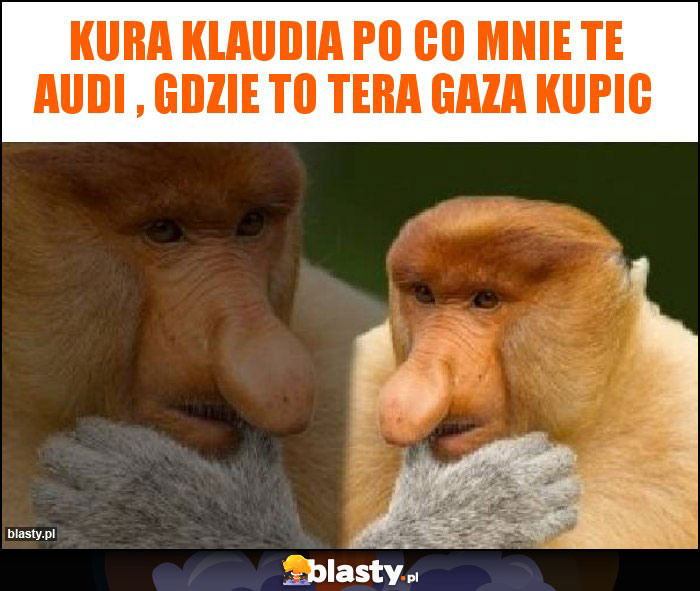 kura klaudia po co mnie te audi , gdzie to tera gaza kupic