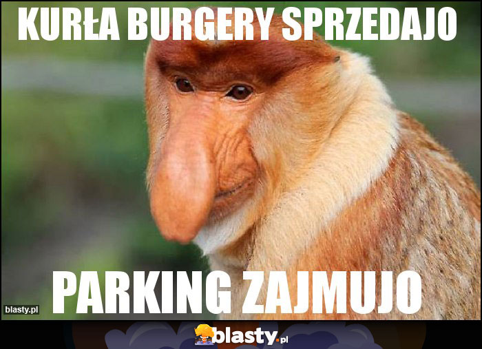 Kurła burgery sprzedajo