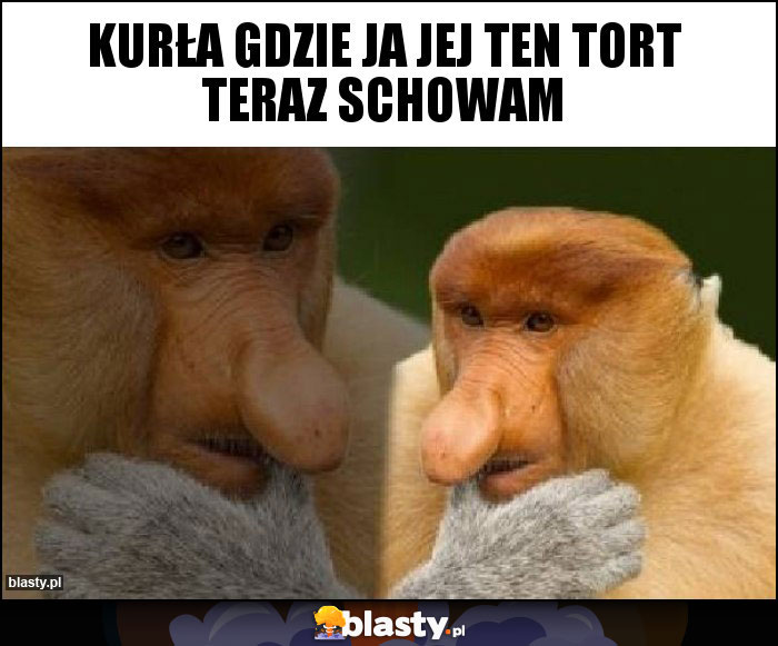 kurła gdzie ja jej ten tort teraz schowam