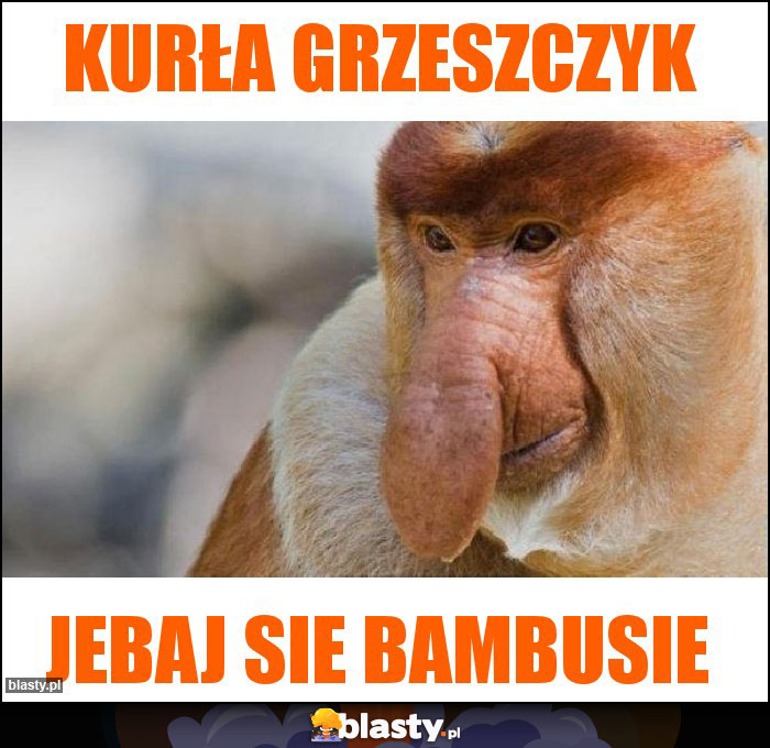 KURŁA GRZESZCZYK