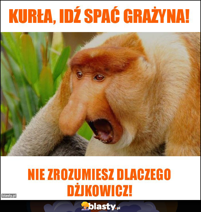 Kurła, idź spać Grażyna!