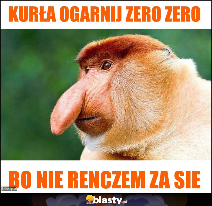 KURŁA OGARNIJ ZERO ZERO