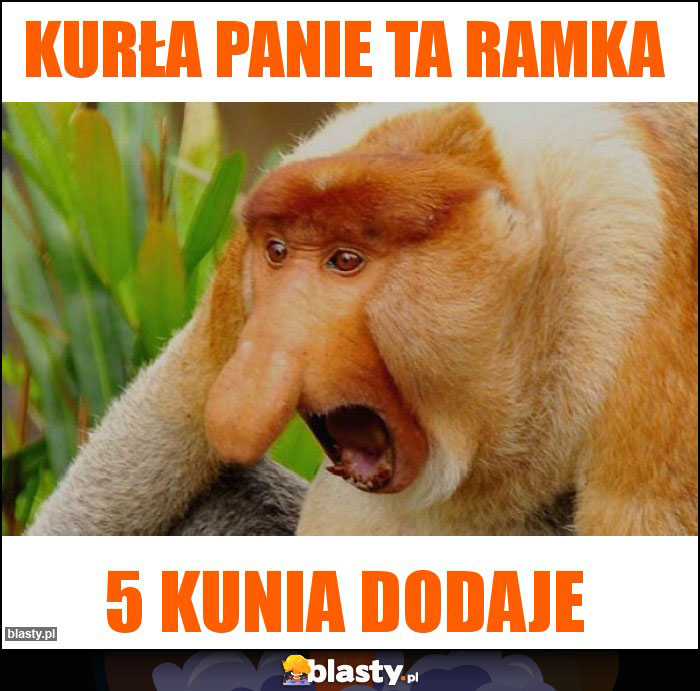 Kurła panie ta ramka