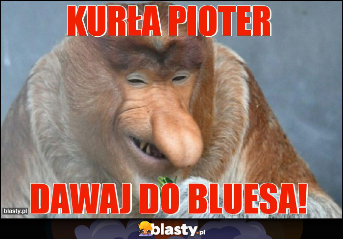 KURŁA PIOTER