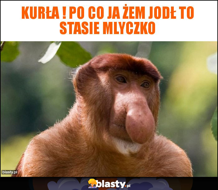 Kurła ! Po co ja żem jodł to stasie mlyczko