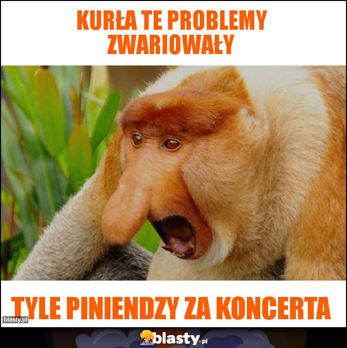 KURŁA tE PROBLEMY ZWARIOWAŁY