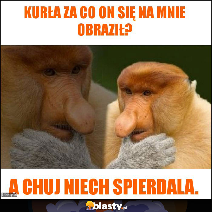 Kurła za co on się na mnie obraził?