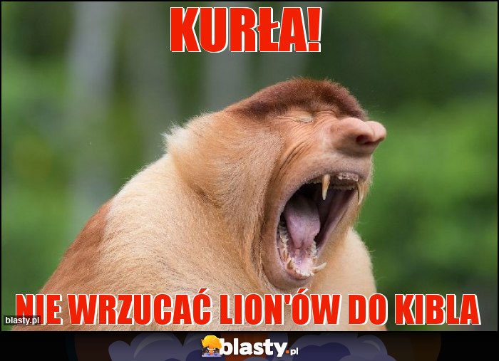 Kurła!