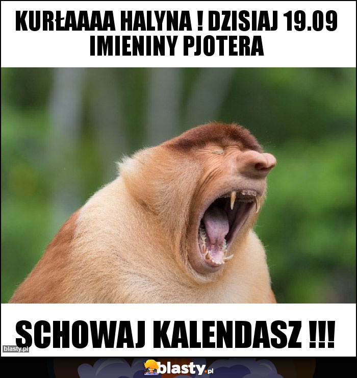 Kurłaaaa Halyna ! Dzisiaj 19.09 imieniny Pjotera