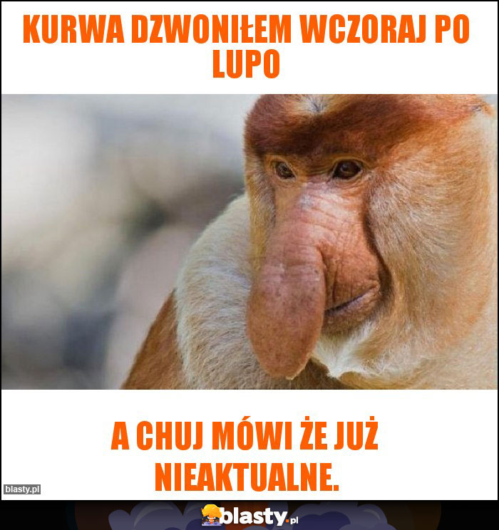 Kurwa dzwoniłem wczoraj po lupo