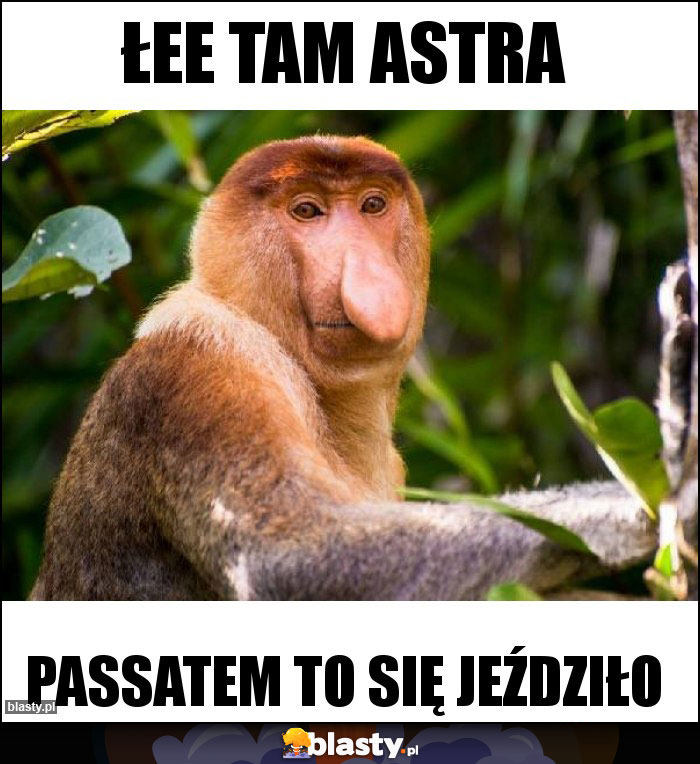 Łee tam Astra