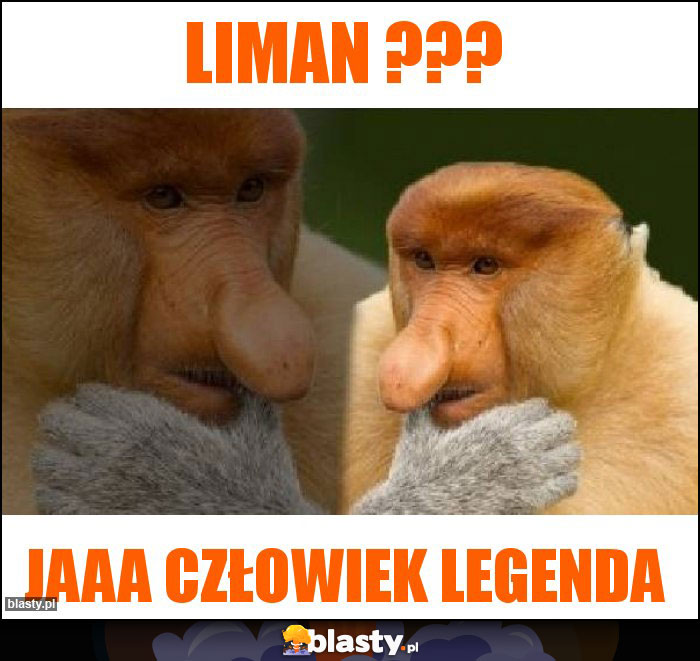 Liman ???