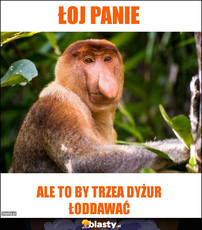 Łoj Panie