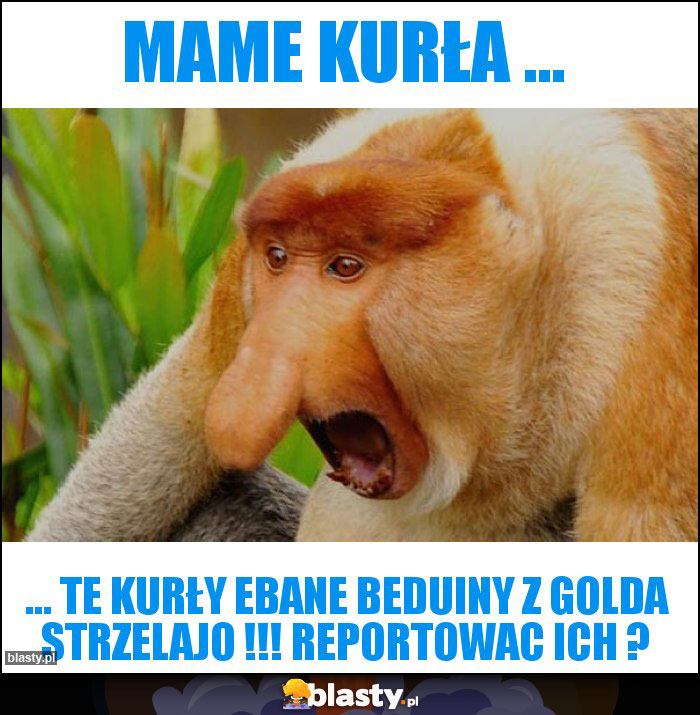 Mame kurła ...