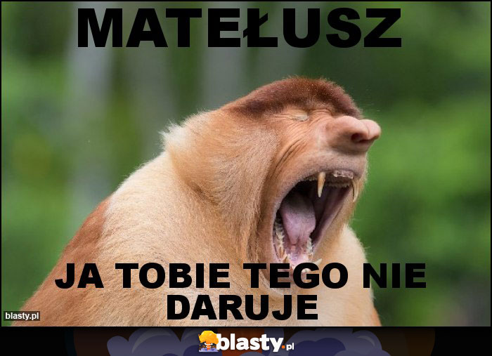 Matełusz