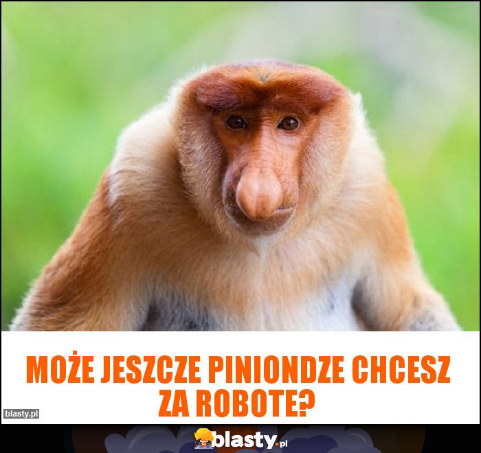 Może jeszcze piniondze chcesz za robote?