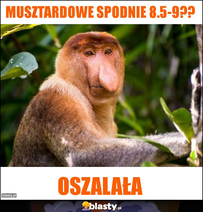 Musztardowe spodnie 8.5-9??