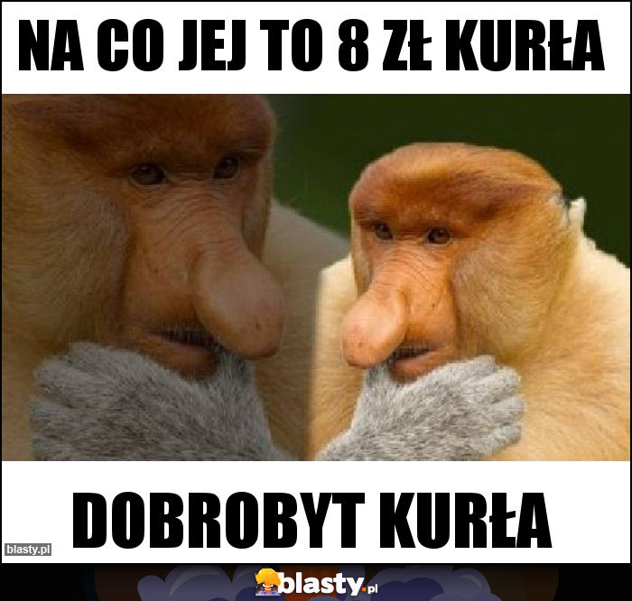 Na co jej to 8 zł kurła