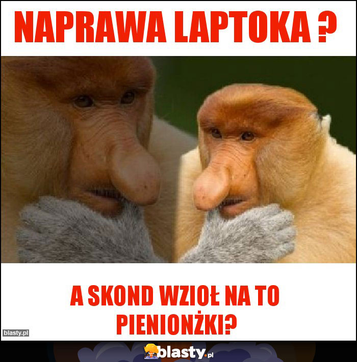 Naprawa laptoka ?