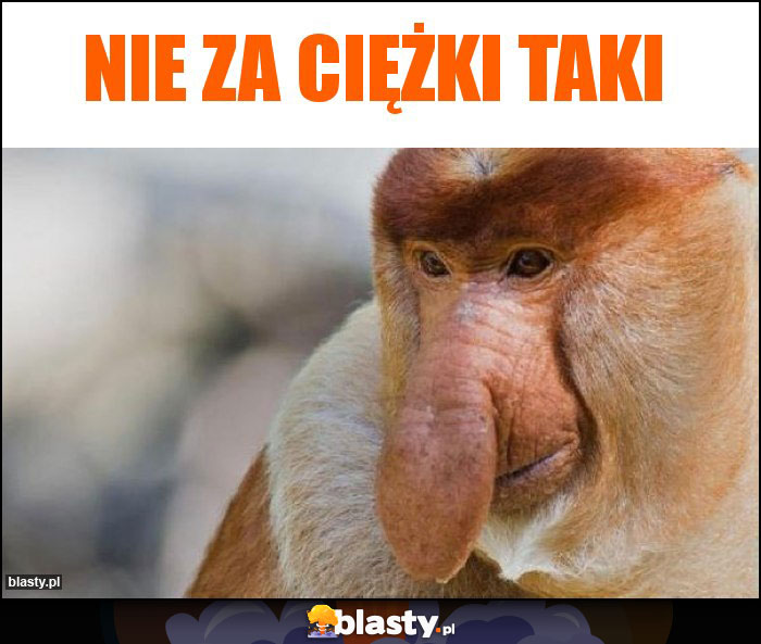 Nie za ciężki taki