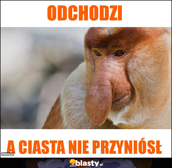 Odchodzi