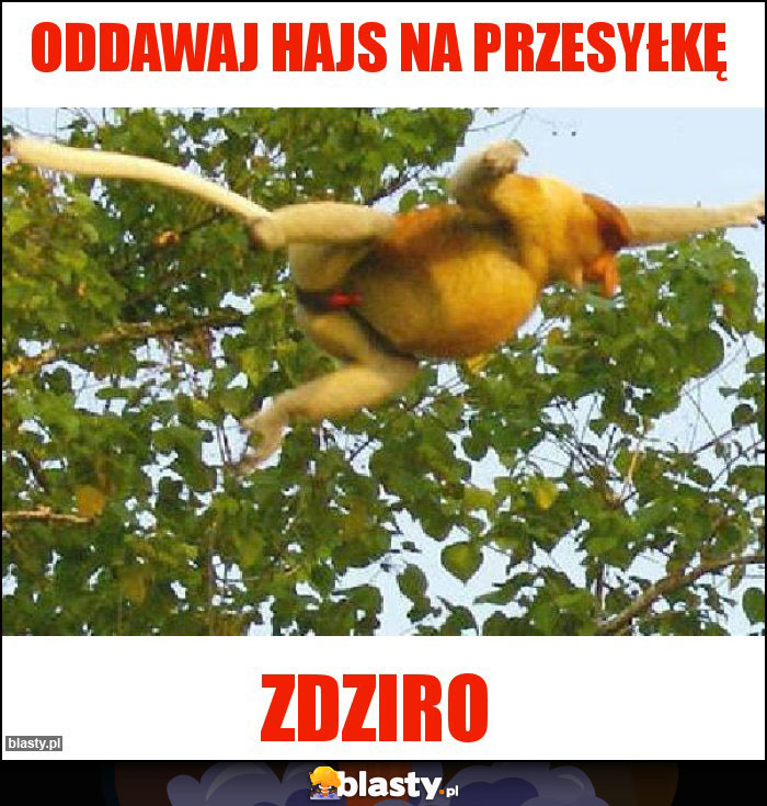 Oddawaj hajs na przesyłkę