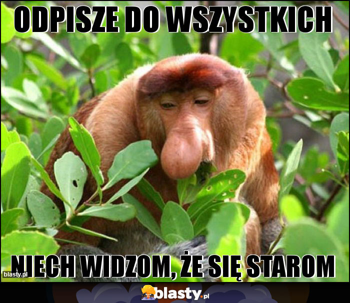 ODPISZE DO WSZYSTKICH