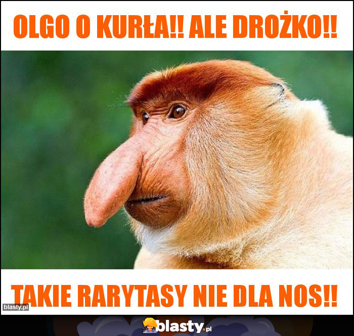 Olgo o kurła!! Ale drożko!!