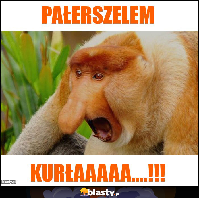 Pałerszelem