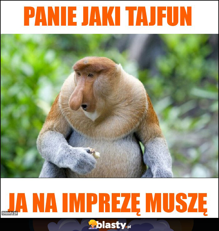 Panie jaki tajfun