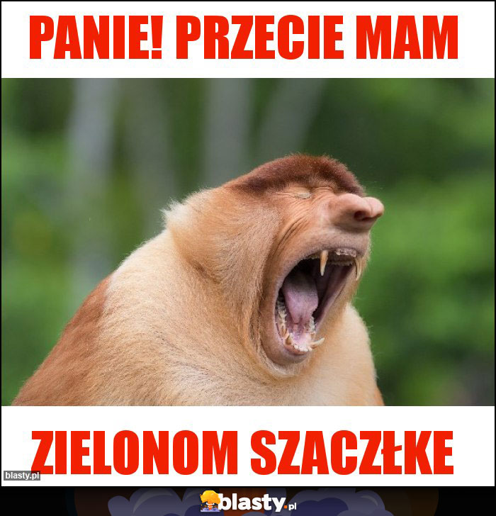 PANIE! PRZECIE MAM