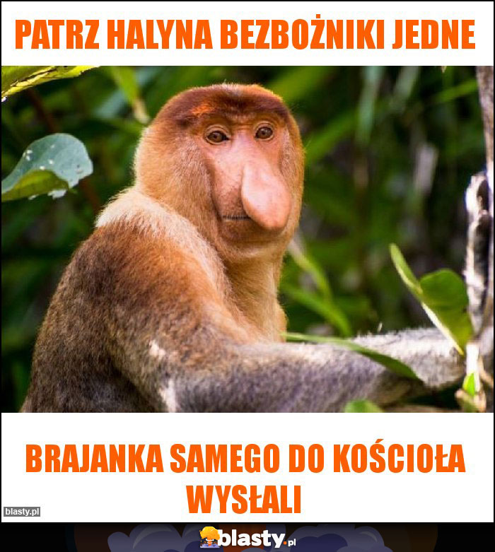 Patrz halyna bezbożniki jedne