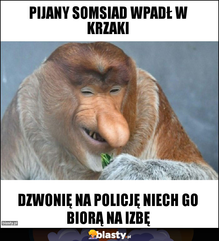 Pijany somsiad wpadł w krzaki