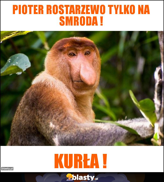 Pioter Rostarzewo tylko na smroda !